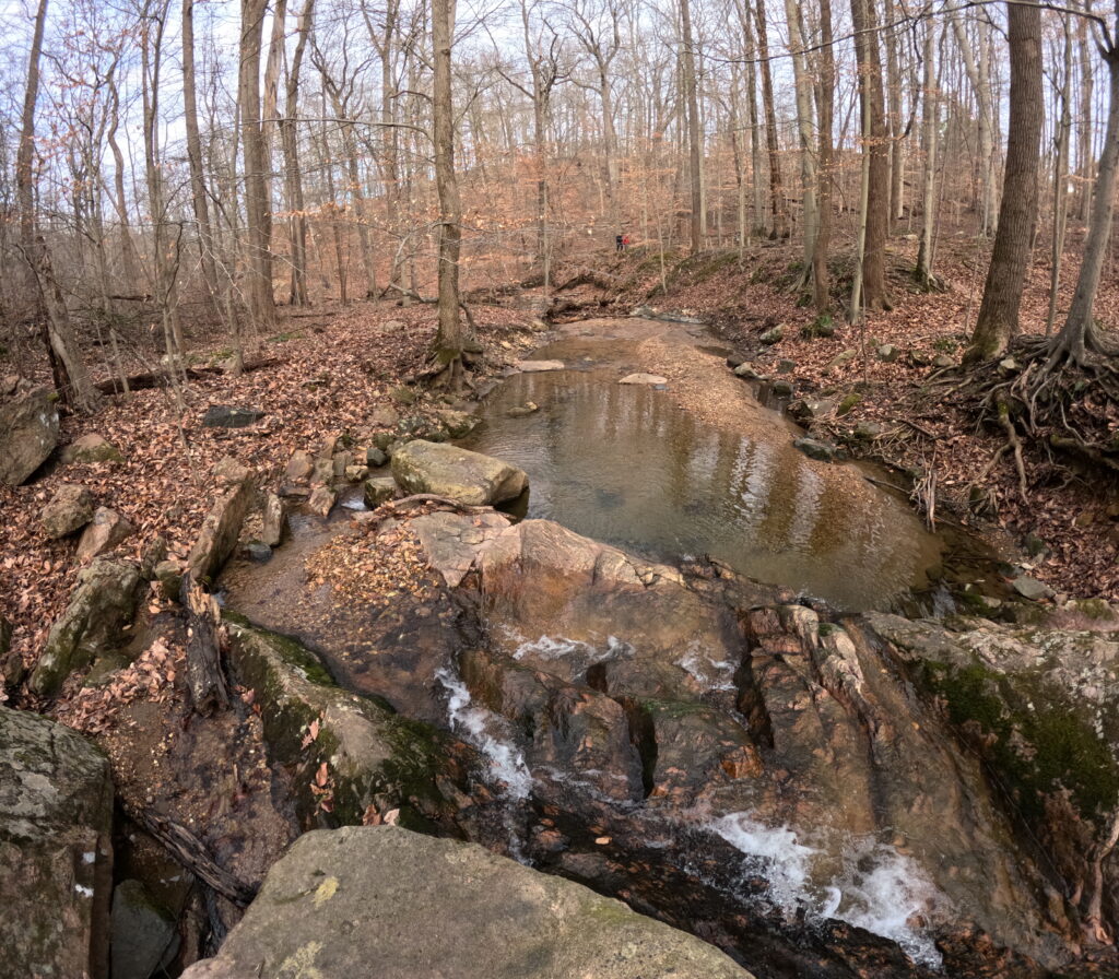 A stream running through rocks